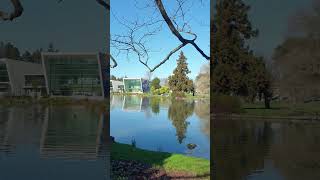 Waikato university tour tour university hamilton newzealand [upl. by Mourant130]