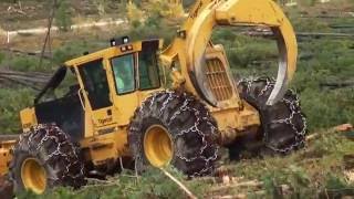 Timberjack 230D Turbo Skidder 1974 Logging in QuébecCanada [upl. by Costa]