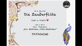 Zauberflöte  Act1Nr 2 PAPAGENO Aria  TEMPO version  The Opera Pianist  Piano Accompaniment [upl. by Esiuqcaj]