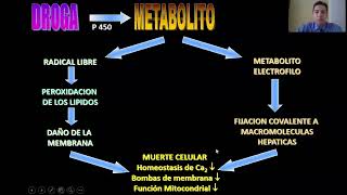 HEPATOTOXICIDAD POR MEDICAMENTOS [upl. by Kandace]