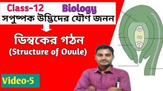 ডিম্বকের গঠন Structure of Ovule in Bengali  Class12 sexual reproduction in flowering plant [upl. by Mazman]