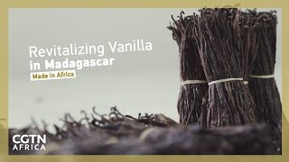 13 PARFUMS À LA VANILLE🍦quotQUE DES BOMBESquot🤤Maison Mataha Montale Élisire [upl. by Nivej]