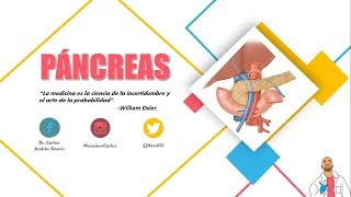 Anatomía  Páncreas Porciones Relaciones Conductos Excretores [upl. by Llerrit]