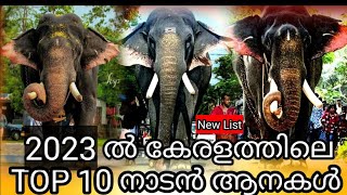 പാമ്പാടി രാജൻ vs തൃക്കടവൂർ ശിവരാജു  Top 10 elephants in kerala 2023  Aanakathakal  Pambadi rajan [upl. by Aynotahs]