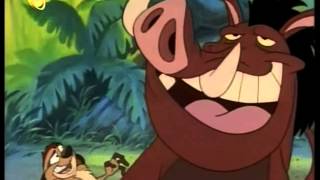 Abenteuer mit Timon und Pumbaa Theme Song DeutschGerman amp Credits [upl. by Asoramla]