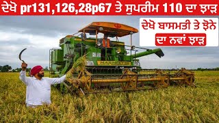 New paddy yield 2024  ਦੇਖੋ ਝੋਨੇ ਦਾ ਨਵਾਂ ਝਾੜ [upl. by Alphard]