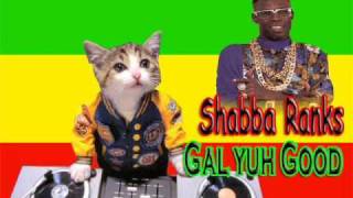 Shabba Ranks  Gal u good [upl. by Melosa]