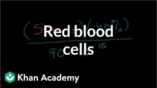 Red blood cells in human body scientific notation word problem  PreAlgebra  Khan Academy [upl. by Sidoma]