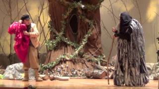 Into the Woods Acting Reel  Dylan DeGeorge [upl. by Jepum547]