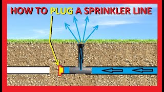 How to Locate and Cap or Plug an Underground Sprinkler Line  At the Head or Anywhere [upl. by Latsyrcal]