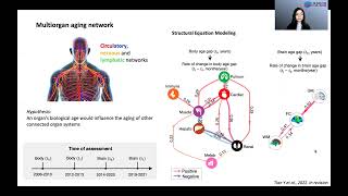 OHBM 2022  206  Symposium  Ye Tian  Beyond brain age prediction Crosstalk between brain age a… [upl. by Flagler727]