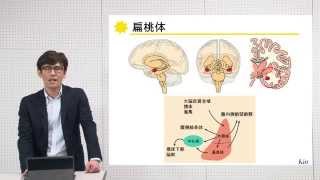 10分でわかる脳の構造と機能vol7「大脳辺縁系」‐畿央大学ニューロリハビリテーション研究センター‐ [upl. by Anaugahs]