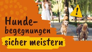 Hundebegegnungen ohne Stress mit einem einfachen Signal [upl. by Nidnal]