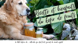 Le kéfir  pourquoi et comment   Recette naturopathie  Heureux qui comme Maurice [upl. by Anneres]