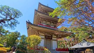 Exploring Rinnoji Temple A Hidden Gem in Sendai [upl. by Reniar885]