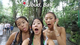 A DAY IN BALI a monkey attacked my sister [upl. by Kamilah583]