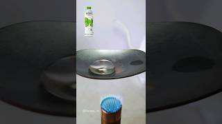 Birch sap Vs Hot Spoon experiment satisfying asmr [upl. by Shaffer619]