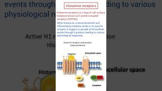 Histamine Receptors medicine histamine pharmacy pharmacology [upl. by Aili]