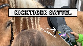 Der richtige Sattel 👍🐴  Wintec 500 Schablone richtig messen und einstellen [upl. by Anirhtak425]