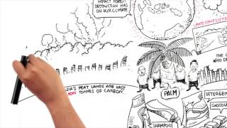 Protect Paradise An Animation about Palm Oil [upl. by Aryn]