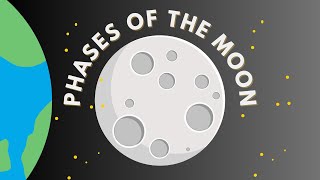 TAKE A LOOK AT THE MOON IN 8 PHASES science moon earth phasesofthemoon [upl. by Tedd]