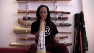 How to Play Didgeridoo  Technique Tooting Overtones Horns Video 3 of 3 [upl. by Evelyn356]