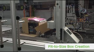 CVP Automated Packaging Solution [upl. by Aseral306]