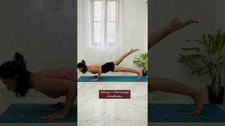 Chaturanga dandasana tutorial yoga yogapractice strength [upl. by Haswell]