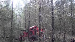 Tigercat 630H Skidder logging in Georgia [upl. by Napra747]