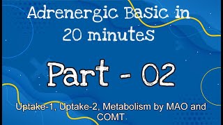 Adrenergic system pharmacology basic in bangla Part2Lectures of Autonomic nervous system [upl. by Allimrac]