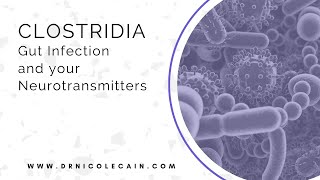 Clostridia The Gut Infection that is Wreaking Havoc on your Neurotransmitters [upl. by Nakasuji]