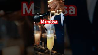 Mimosa recipe cocktail mimosa classiccocktails didothankyou thankgodido lyrics song songs [upl. by Nuris]