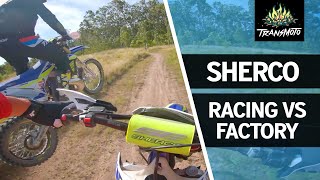 2021 Sherco ‘Racing’ vs ‘Factory’ Models [upl. by Calloway]