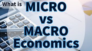 Whats the Difference between MICRO and MACRO  Think Econ macro micro economics [upl. by Oicram]