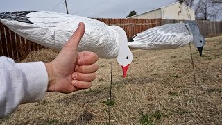 DIVE BOMB Decoys Are AMAZING Heres Why [upl. by Esilrac]