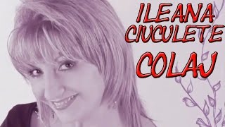 Muzica Populara Cu Ileana Ciuculete  COLAJ VIDEO 2014 [upl. by Notsua]