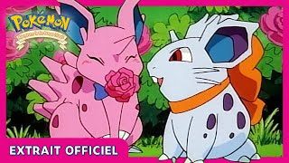 Des Nidoran amoureux I Pokémon  Les Îles Orange I Extrait Officiel [upl. by Allrud]