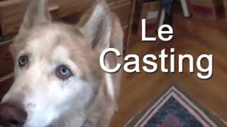 LE CASTING  PAROLE DE CHIEN [upl. by Hazard824]