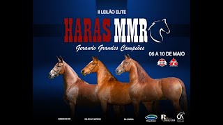 II Leilão Haras MMR [upl. by Ytsim]