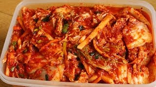 How to make Easy Kimchi 막김치 [upl. by Jezrdna787]