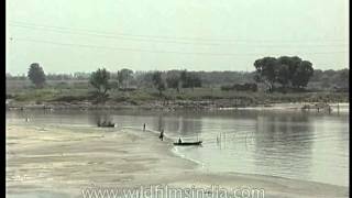 At the Okhla Barrage [upl. by Aihseyn]