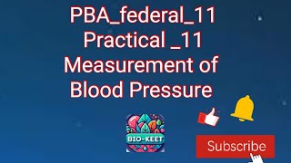 PBAfederal11 Practical 11 Measurements of Different phases in blood pressure [upl. by Aidnyc]