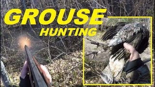 Ruffed Grouse Hunting and Woodcock Minnesota [upl. by Manard251]