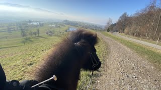 GoPro Ausritt mit meinem ISLÄNDER 🇮🇸 [upl. by Aniteb]