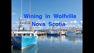 Wining in Wolfville Nova Scotia [upl. by Dino536]