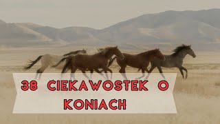 Ciekawostki o KONIACH  38 faktów których prawdopodobnie NIE WIESZ 🐎 [upl. by Leila]