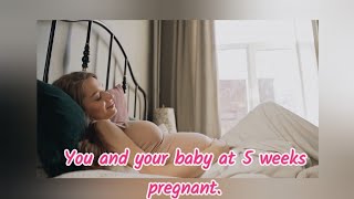 Pregnancy 5 weeks  Pregnancy 5 weeks baby size  Pregnancy 5 weeks symptoms [upl. by O'Gowan]