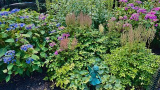 Garden Tour  Shade Garden  Mid June 2024 [upl. by Doggett758]