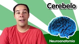 Neuroanatomia 5  Cerebelo [upl. by Hirza]