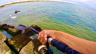 I HOOKED a RARE Texas Species Jetty Fishing [upl. by Qooraf]